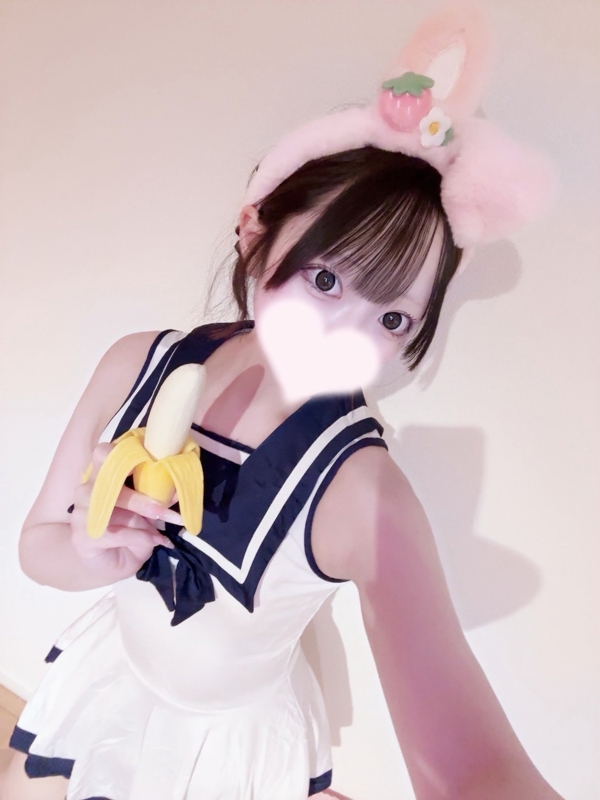 ちわわの画像