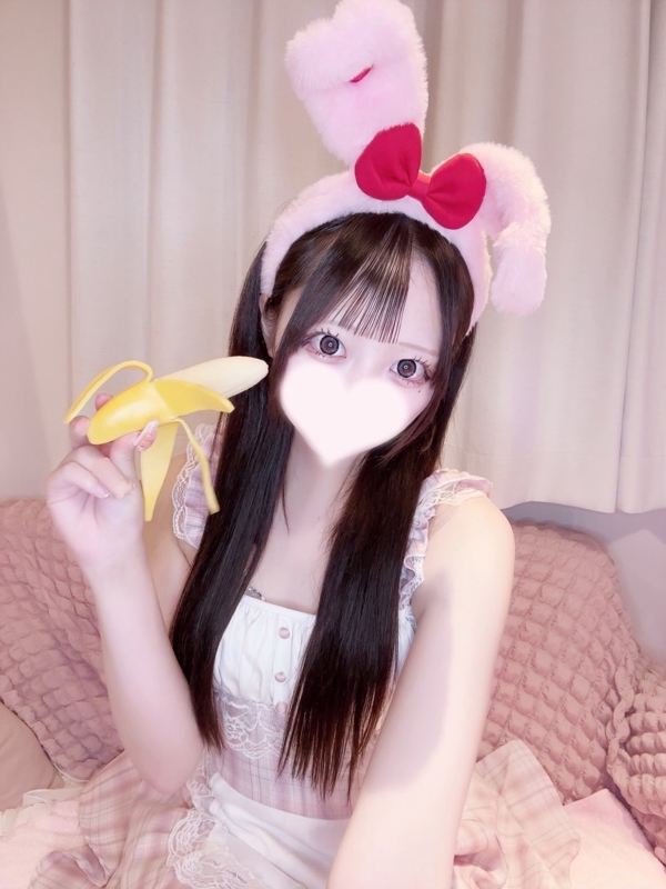 ちわわの画像