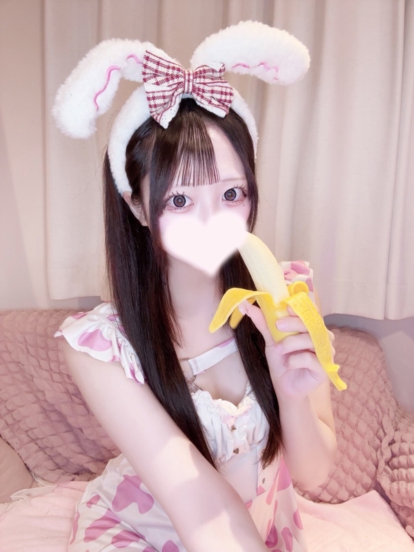 ちわわの画像