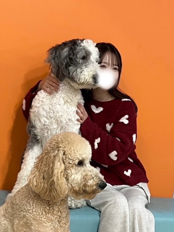 ひなこの画像
